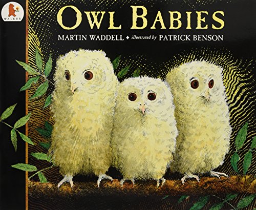 Owl Babies: 1