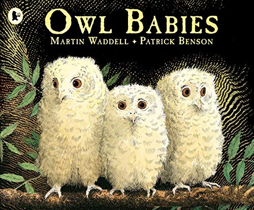 Owl Babies: 1