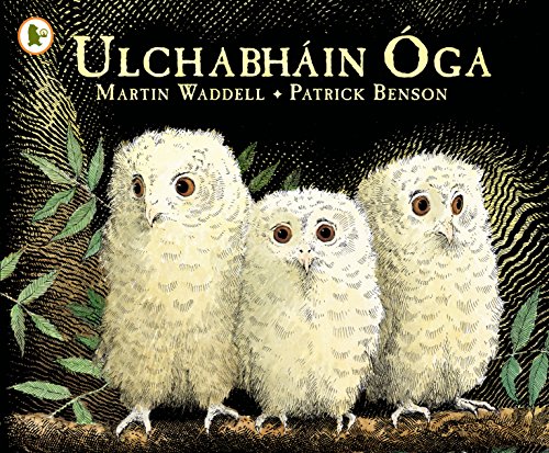 Ulchabháin Óga (Owl Babies) (Walker Eireann) von WALKER BOOKS