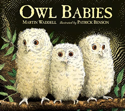 Owl Babies von WALKER BOOKS