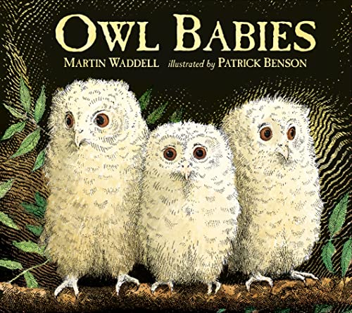 Owl Babies von Penguin