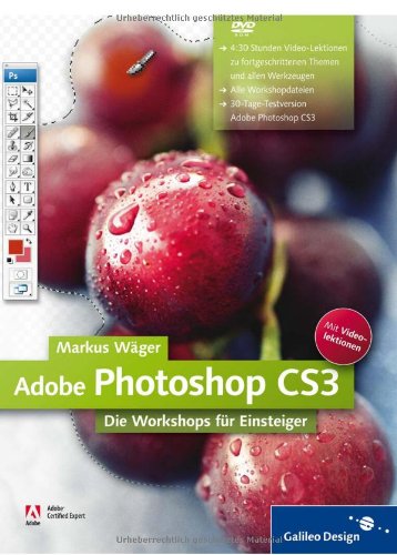 Adobe Photoshop CS3: Die Workshops für Einsteiger (Galileo Design)