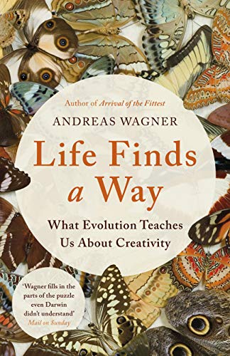 Life Finds a Way: What Evolution Teaches Us About Creativity