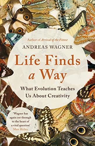 Life Finds a Way: What Evolution Teaches Us About Creativity