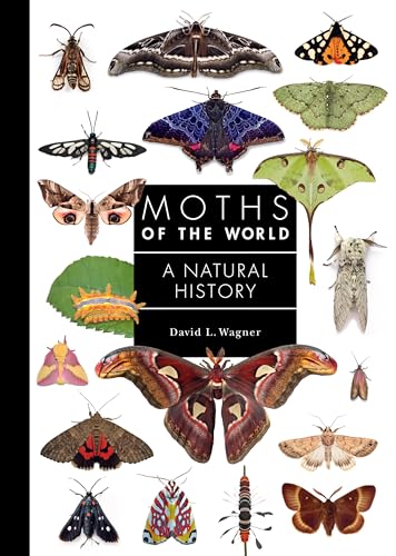 Moths of the World: A Natural History (A Guide to Every Family, 11) von Princeton University Press