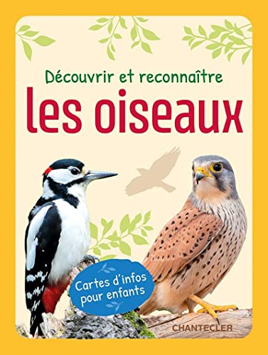 Découvrir et reconnaître les oiseaux (boîte): Cartes d’infos pour enfants