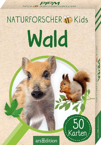 Naturforscher-Kids – Wald: 50 Karten | Heimische Arten erkennen und bestimmen von arsEdition
