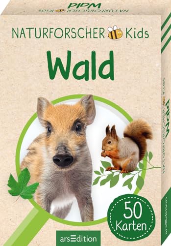 Naturforscher-Kids – Wald: 50 Karten | Heimische Arten erkennen und bestimmen von Ars Edition