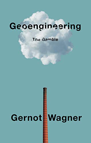 Geoengineering: The Gamble von Polity Press