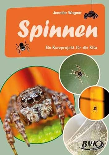 Spinnen: Ein Kurzprojekt für die Kita (BVK-Kurzprojekte) von BVK Buch Verlag Kempen GmbH