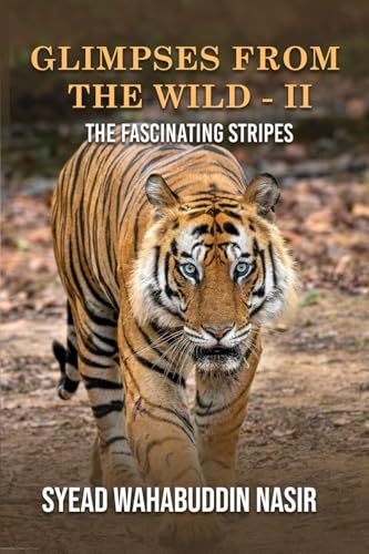 Glimpses from the Wild - II the Fascinating Stripes