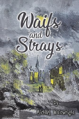 Waifs and Strays von Austin Macauley Publishers