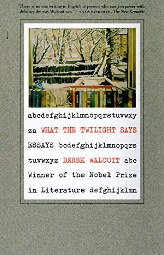 WHAT THE TWILIGHT SAYS PB: Essays