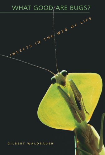 What Good Are Bugs?: Insects in the Web of Life von Harvard University Press