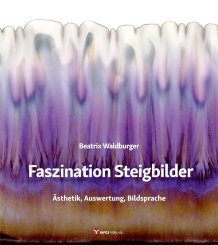 Faszination Steigbilder: Ästhetik, Auswertung, Bildsprache von Info 3