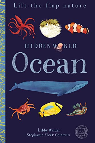 Hidden World: Ocean (Lift the Flap Nature) von 360 Degrees