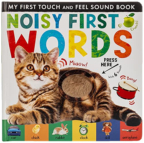 Noisy First Words: My First Touch and Feel Sound Book (My First Touch & Feel Sound Bk)
