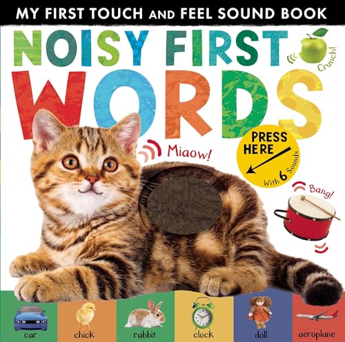 Noisy First Words: My First Touch and Feel Sound Book (My First Touch & Feel Sound Bk)