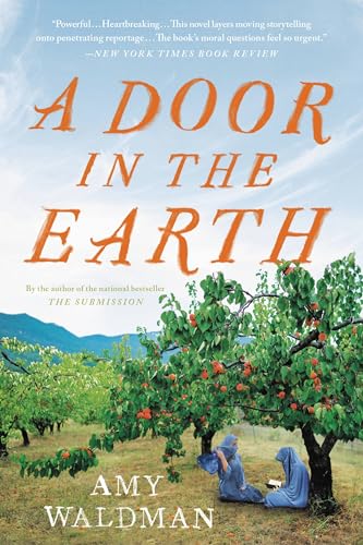 A Door in the Earth von Back Bay Books