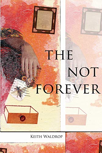 The Not Forever: (Inventions) von Omnidawn