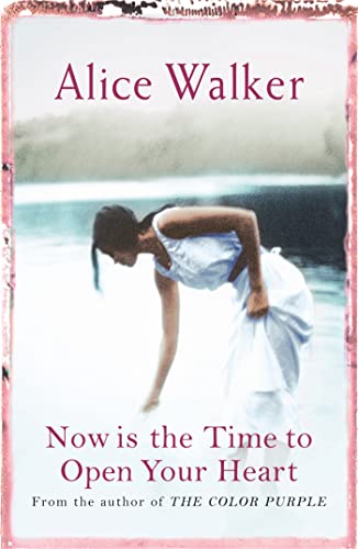 Now is the Time to Open Your Heart von Weidenfeld & Nicolson