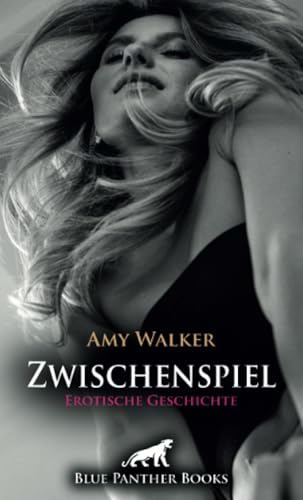 Zwischenspiel | Erotische Geschichte + 6 weitere Geschichten: Eine ordentliche Portion Leidenschaft! (Love, Passion & Sex) von blue panther books