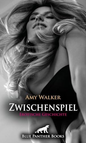 Zwischenspiel | Erotische Geschichte + 5 weitere Geschichten: Eine ordentliche Portion Leidenschaft! (Love, Passion & Sex)