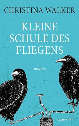 Kleine Schule des Fliegens von Braumüller Verlag