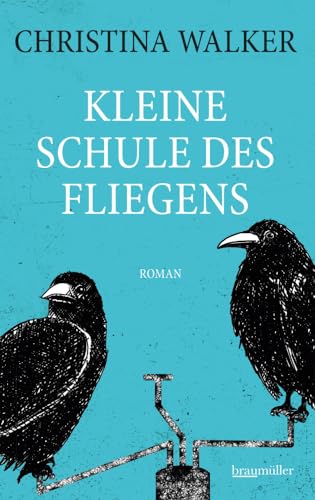 Kleine Schule des Fliegens von Braumüller Verlag