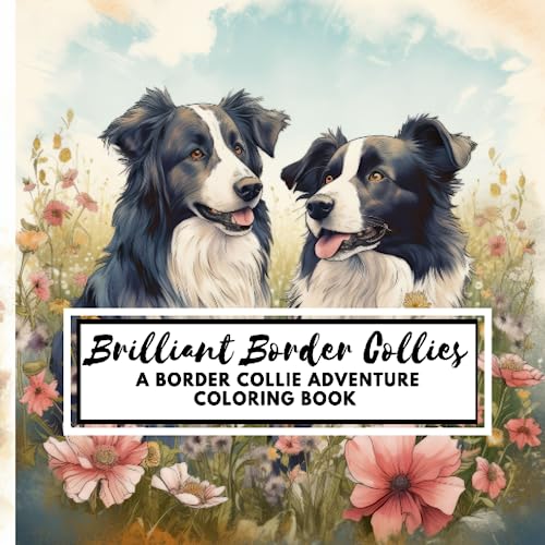 Brilliant Border Collies: A Border Collie Adventure Coloring Book von Sprout and Bean Studios LLC
