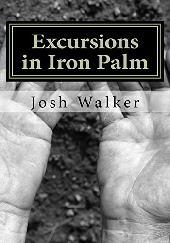 Excursions in Iron Palm von Createspace Independent Publishing Platform