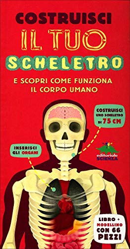 Costruisci il tuo scheletro e scopri come funziona il corpo umano (Pop-up & co.)