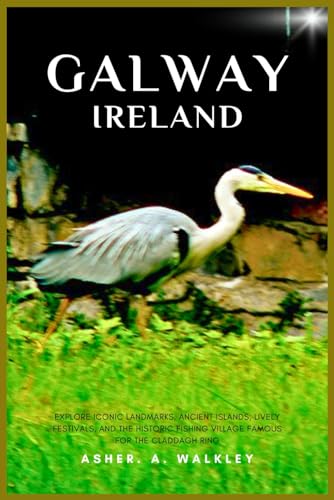 Galway, Ireland Travel Guide: Explore Iconic Landmarks, Ancient Islands, Lively Festivals, And The Historic Fishing Village Famous For The Claddagh Ring von Independently published