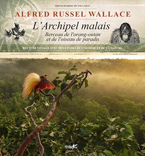 L'archipel malais - Berceau de l'orang-outan et de l'oiseau: Berceau de l'orang-outan et de l'oiseau de paradis - Récit de voyage avec des études de l'homme et de la nature