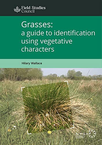 Grasses: a guide to identification using vegetative characters von Field Studies Council