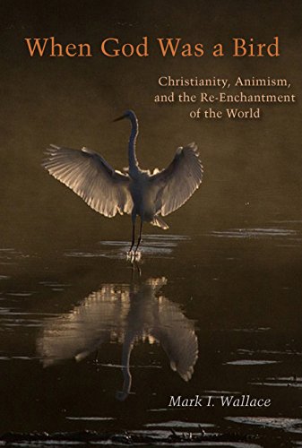 When God Was a Bird: Christianity, Animism, and the Re-Enchantment of the World (Groundworks: Ecological Issues in Philosophy and Theology)