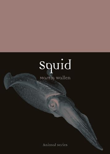 Squid (Animal) von Reaktion Books