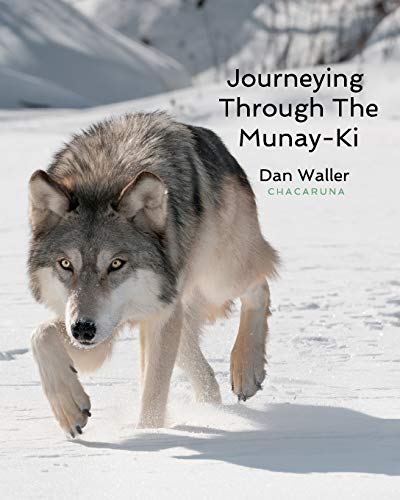 Journeying Through The Munay-Ki von Blurb