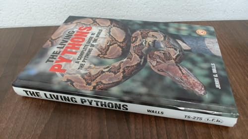 Living Pythons