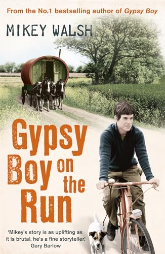Gypsy Boy on the Run von Hodder Paperbacks