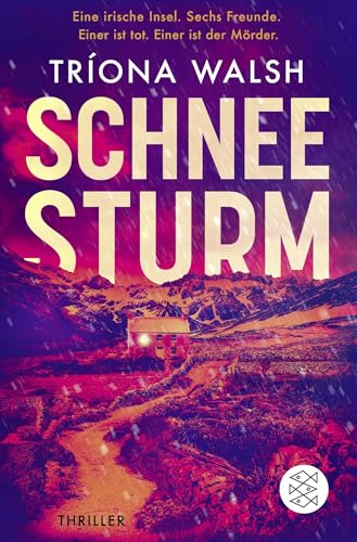 Schneesturm: Thriller | Kein Entkommen von der eisigen Insel von FISCHER Taschenbuch