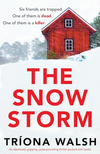 The Snowstorm: An absolutely gripping, pulse-pounding thriller packed with twists