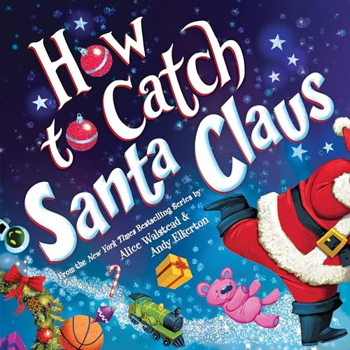 How to Catch Santa Claus von Sourcebooks Wonderland