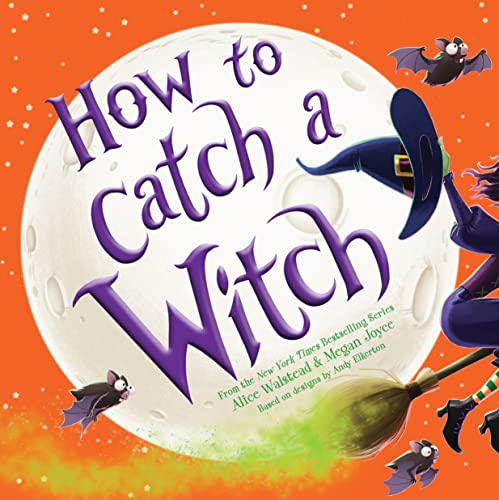 How to Catch a Witch von Sourcebooks Wonderland