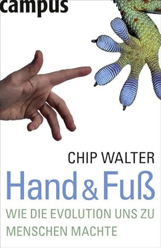 Hand & Fuß: Wie die Evolution uns zu Menschen machte