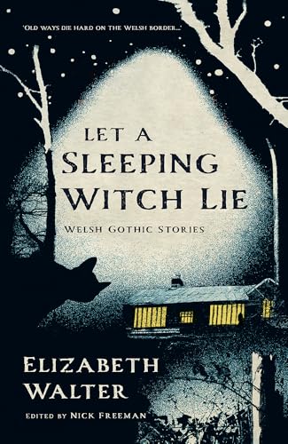 Let a Sleeping Witch Lie: Welsh Gothic Stories by Elizabeth Walter