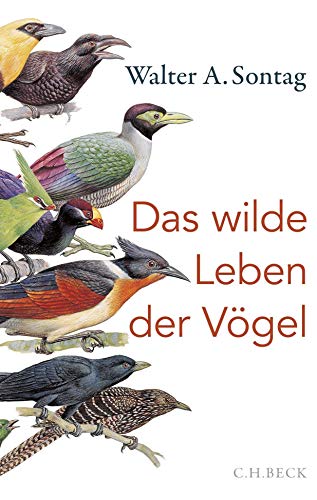 Das wilde Leben der Vögel: Von Nachtschwärmern, Kuckuckskindern und leidenschaftlichen Sängern