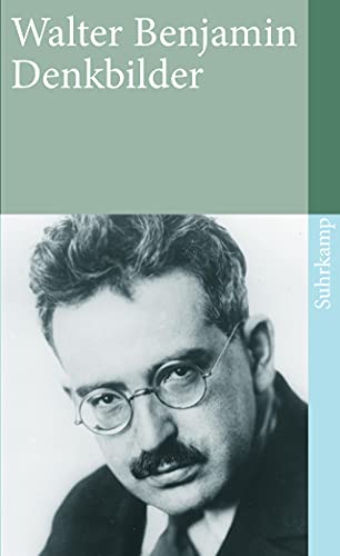 Denkbilder (suhrkamp taschenbuch)