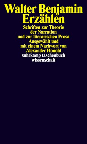 Erzählen: Schriften zur Theorie der Narration und zur literarischen Prosa (suhrkamp taschenbuch wissenschaft)