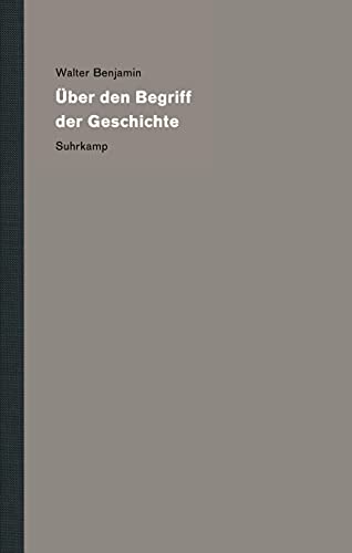 Werke und Nachlaß. Kritische Gesamtausgabe: Band 19: Über den Begriff der Geschichte von Suhrkamp Verlag AG